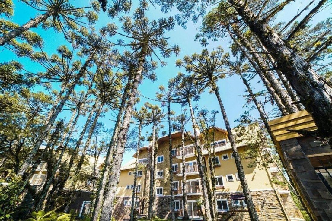 Casa de Pedra Apartamento 103 esmeralda - Próximo ao Super Carros Gramado Exterior foto